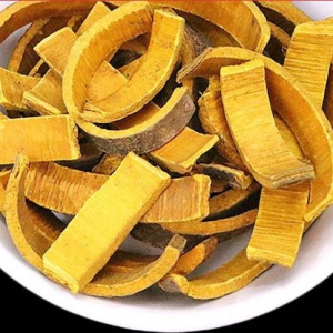 關(guān)黃柏補腎壯陽的功效 關(guān)黃柏功效作用一覽